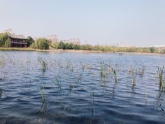 -武汉园博园(武汉自然博物馆)
