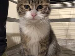 -吴记怪味面(牛王庙店)