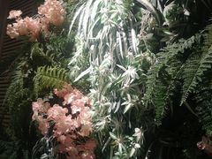 -南城十里潮汕鲜牛火锅·鲜虾生滚粥(融汇老商埠店)