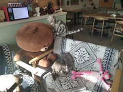 -平行世界·猫咖(首经贸店)