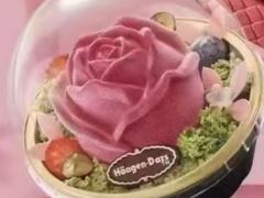 -哈根达斯(上海金山店)
