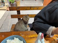-鱼乐岛餐厅·户外花园主题餐厅