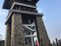 -大湾区中央湿地公园