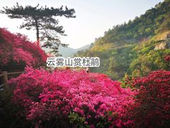 -木兰云雾山