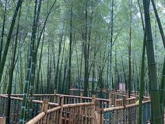 -陶祖圣境风景区