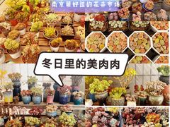 -金陵花卉交易市场