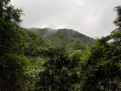 -龙岩森林水乡景区