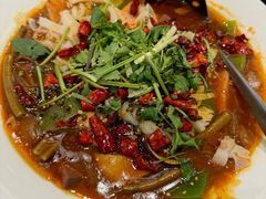 四川毛血旺-新南华大酒店(广中店)