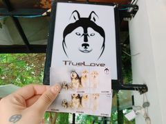 -TrueLove @ Neverland (Husky Cafe)