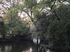 -袁记串串香(人民公园店)