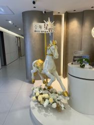 -上海星和医疗美容