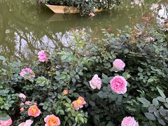 -人民公园(罗湖区)