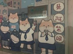 -是阿柴呀！柴犬咖啡·爱喵喵猫咖