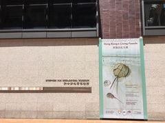 -香港大学