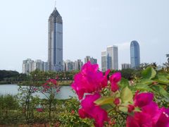 -万绿园