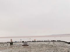 -南汇新城海滩