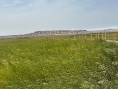 -哈密雅丹大海道景区