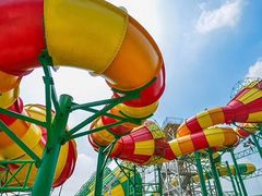 -苏州乐园森林水世界