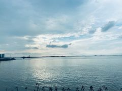 -万绿园