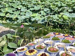 -七的湖·晚芳亭·阳澄湖农家菜·大闸蟹(莲花岛店)