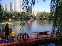 -长白岛森林公园