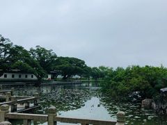 -江心屿景区