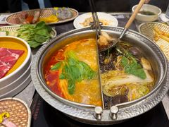 -一绪に寿喜烧(荟聚店)