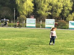 -昆山城市生态森林公园