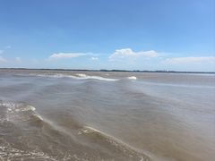 -观潮胜地公园
