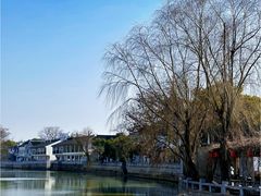 -枫桥景区