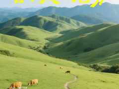 -大姆山草场