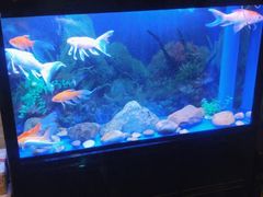 -宜昌富力皇冠假日酒店·咖啡1号西餐厅