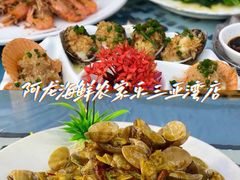 -三亚亚特兰蒂斯度假区