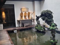 -觀芷隐轩