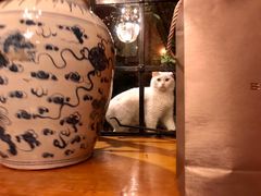 -马勒别墅·中餐厅