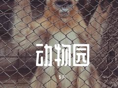-哈尔滨北方森林动物园