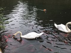 -臻悦海宴.家宴(奥体中心店)