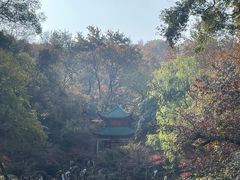 -岳麓山风景名胜区