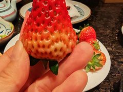 -大渔铁板烧(仁恒梦中心店)