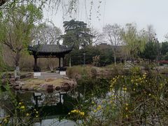 -泰州凤城河风景区-泰山公园