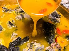 -Darling Queen·Mini·Live·House