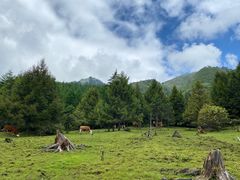 -硗碛藏寨·神木垒景区