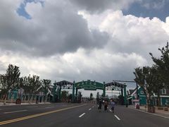门面-荷兰花海