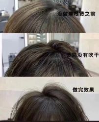 -東田造型