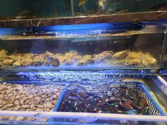 -喜庭海鲜自助(来福士店)