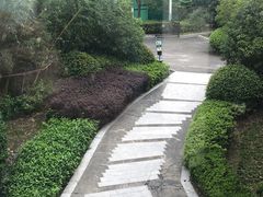 -上海崇明金茂凯悦酒店