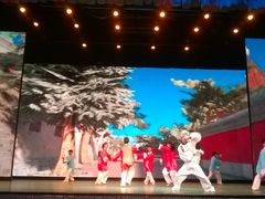 WP_20141123_057-什刹海剧场