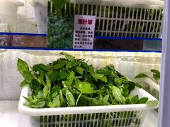 -黔府豆米火锅野菜馆(南马店)