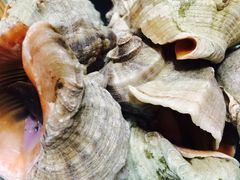 -添福来墨鱼饺子 · 海鲜东北菜(大连星海·黄浦路店)