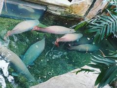 -青青世界